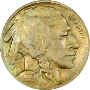 1919-D Buffalo Nickel - AU 53